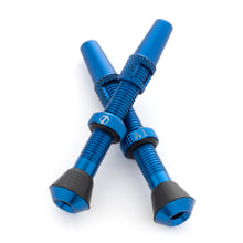 Load image into Gallery viewer, Serviceable Tubeless Valve Stems