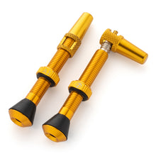 Load image into Gallery viewer, Serviceable Tubeless Valve Stems