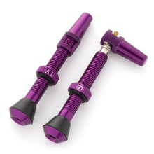 Load image into Gallery viewer, Serviceable Tubeless Valve Stems