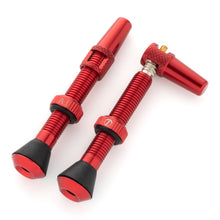 Load image into Gallery viewer, Serviceable Tubeless Valve Stems